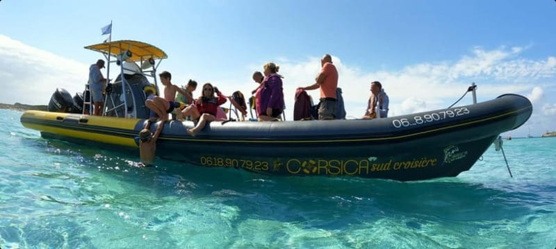 Porto-Vecchio: Lavezzi Archipelago & Cerbicales Island Tour - The Cerbicales Islands and their seabird chorus