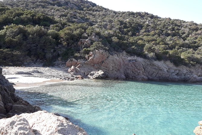 PREMIUM catamaran excursion archipelago of La Maddalena - What seven hours really feels like