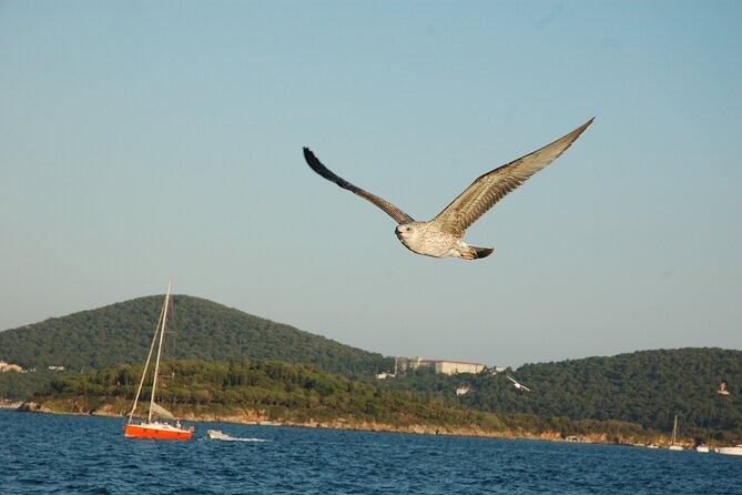 Princes' Islands Cruise with Lunch and Transfer Full-Day Tour - Lunch on board and the privately owned boat
