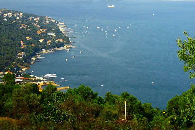 Princes' Islands Tour from Istanbul - Key points at a glance
