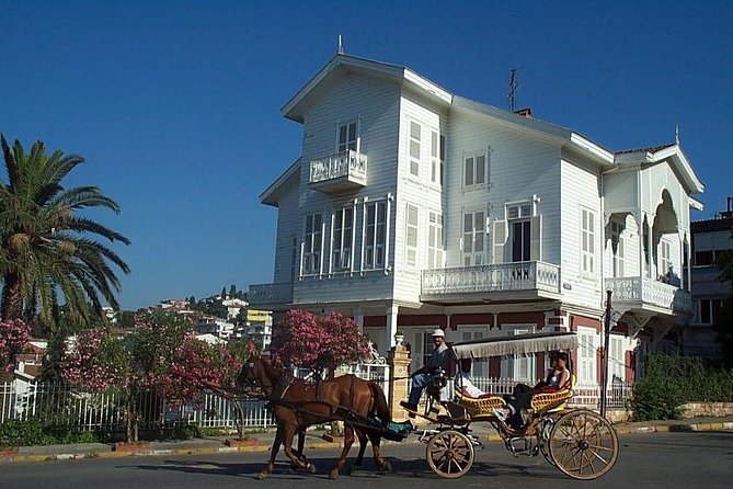Princes' Islands Tour from Istanbul - Buyukada Tabiat Parki and the main island visit