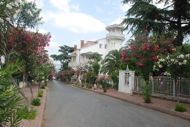Princes Islands Tour WITH Private Boat, optional Pickup & Lunch - Kınalıada, one hour on the closest island