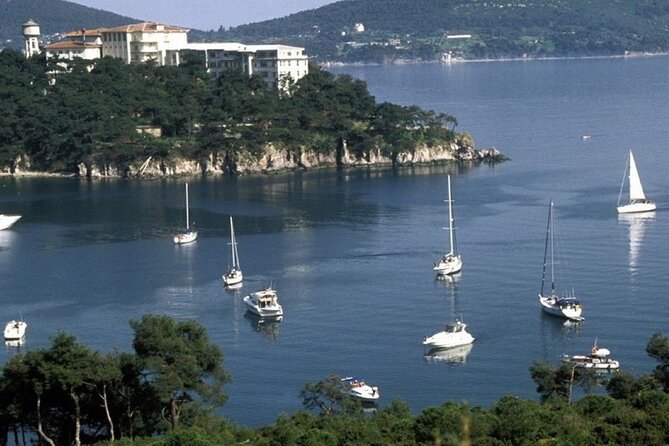 Princes Islands Tour WITH Private Boat, optional Pickup & Lunch - Burgazada and Heybeliada from the route