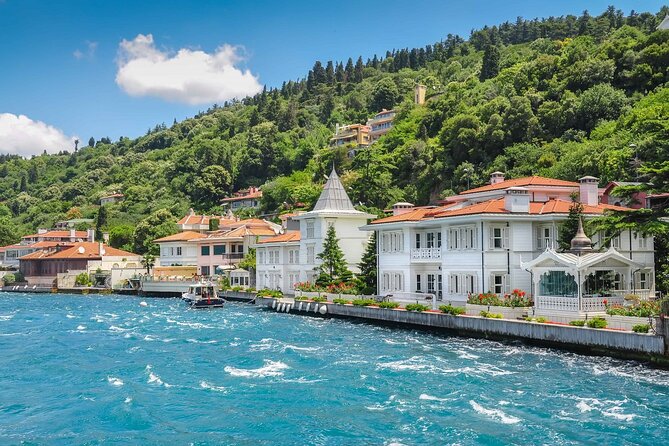 Princes Islands Tour WITH Private Boat, optional Pickup & Lunch - The guide and the feel of the day