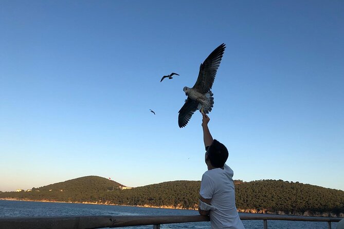 Princess Islands Tour With Lunch and Guide - The shopping stop and return to Istanbul