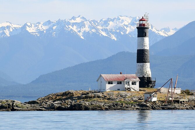 Private Boat Charter Explore Southern Gulf Islands Tour - Wildlife and the pleasure of moving slowly