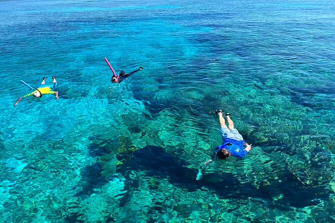 Private Boat Island Hopping & Snorkeling in Turks & Caicos 4Hrs - Snorkeling at the La Famille Express shipwreck