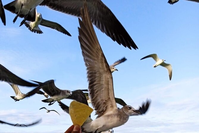 Private boat tour (3 islands tour) - Drinks, guides, and the feel of the boat