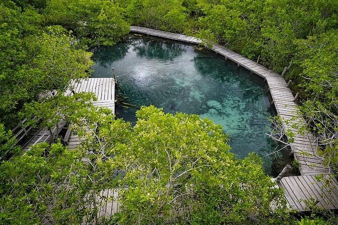 Private boat tour (3 islands tour) - Who should book this private Holbox boat tour?