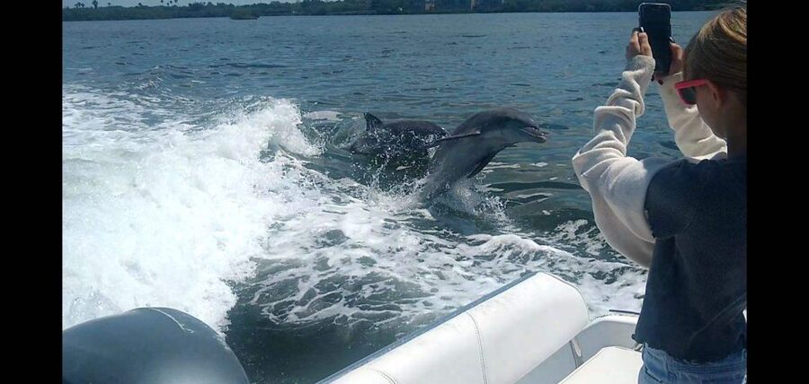 Private Boat Tour, Sunset Cruise, Island Hopping and more! - Who gets the best value from this tour?