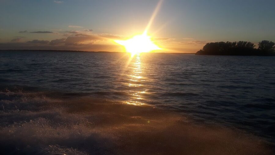 Private Boat Tour, Sunset Cruise, Island Hopping and more! - Dolphin watching around Clearwater’s waterways
