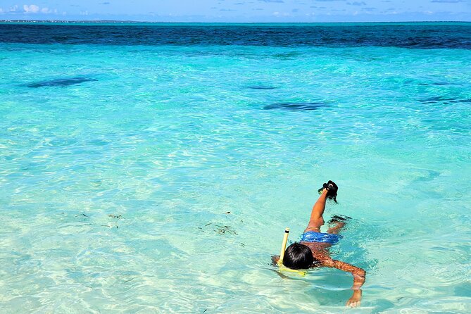 Private Boat Tour with Snorkeling, Island Hopping, and Noahs Ark - Timing, weather, and cancellation advice
