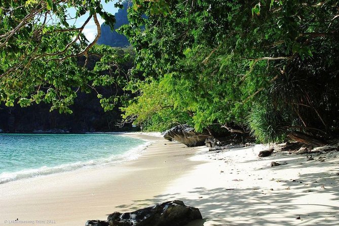 PRIVATE El Nido Tour D Island Hopping - Lunch, safety gear, and fees included