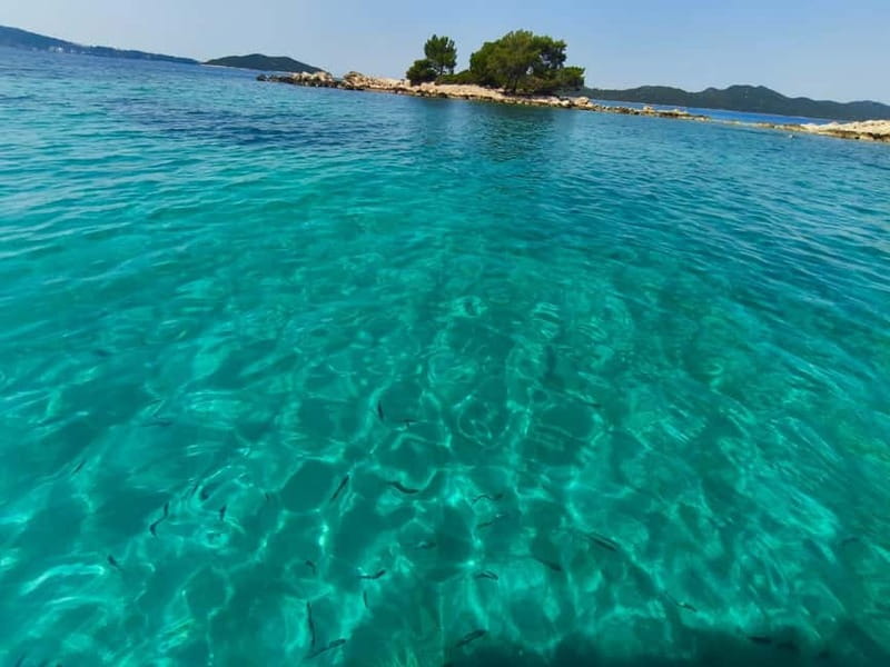 Private Elafiti Boat Tour- Visit Blue Cave and beach Sunj - Key points to know before booking