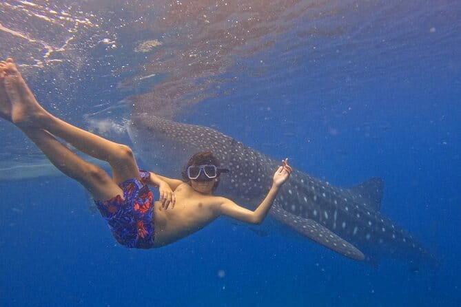Private Island Hopping in Nasuluan, Hiltotongan and Caohngan - Who will enjoy this Cebu island day