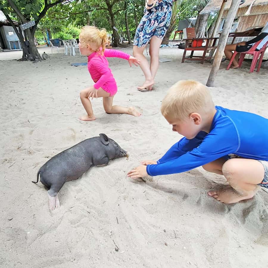 PRIVATE KOH SAMUI TOURS - SECRET ISLANDS BOAT TRIP - Key points before you book