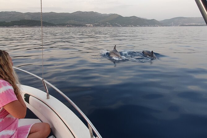 Private Local Guided Speedboat Tour in Dubrovnik Archipelago - Three Green Caves on Koločep