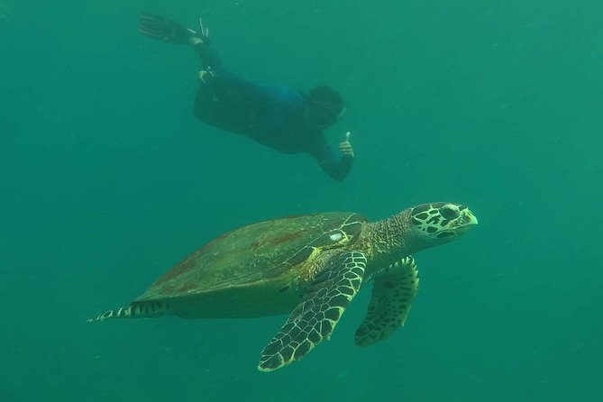 Private Phi Phi & 4 Islands Sunset Cruise by Speedboat - from Krabi - The 4 Islands: Poda and Tup