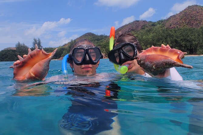 Private Seychelles Islands Tour by Boat with snacks & drinks - A clean boat and attentive service