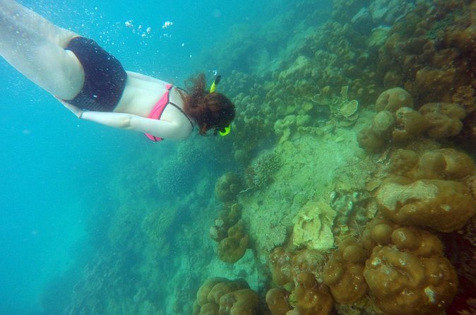 Private Speedboat Maiton, Racha, and Coral Islands Tour from Phuket - Who will enjoy this day most