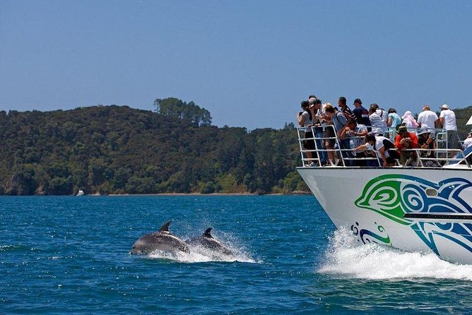 Private Tour: Bay of Islands Day Trip from Auckland - The long road north from Auckland