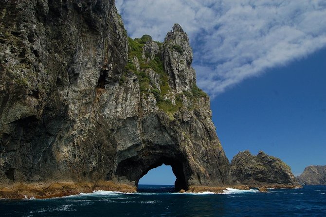 Private Tour: Bay of Islands Day Trip from Auckland - Whangarei Falls gives the day a scenic pause