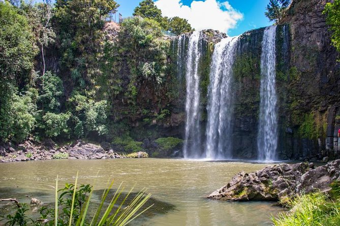Private Tour: Bay of Islands Day Trip from Auckland - The vehicle and comfort question