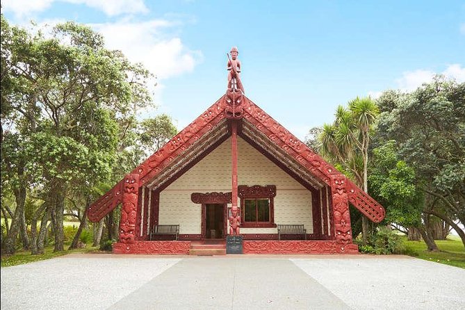 Private Tour: Bay of Islands Day Trip from Auckland - Parry Kauri Park and the giant trees