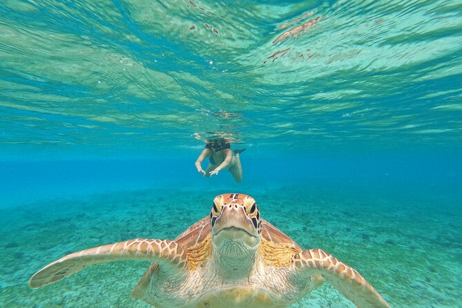 Public Snorkeling 3 Islands - Meeting at Ozzy Cottage at 10:30