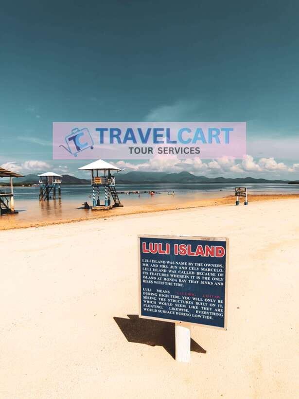 Puerto Princesa Honda Bay Island Hopping - Pambato Reef: the strongest snorkeling stop