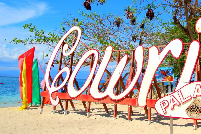 Puerto Princesa: Honda Bay Island Hopping with Buffet Lunch - Pambato Reef and the marine-life stop