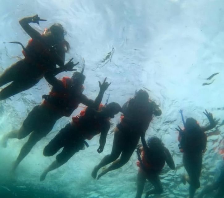 Puerto Vallarta: Los Arcos Islands Boat Tour and Snorkeling - Birdlife and the five rocky islands
