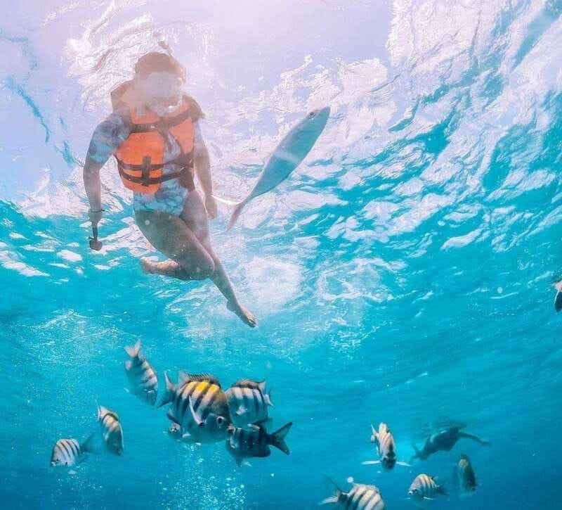 Puerto Vallarta: Los Arcos Islands Boat Tour and Snorkeling - The guides are the strongest part of the experience