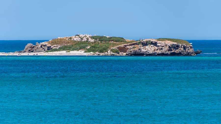 Rockingham: 3 Island Wildlife Snorkeling Cruise with Lunch - Gear, comfort, and what to pack