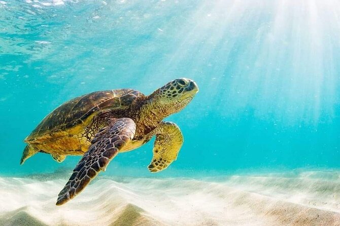 Rose Island 3 Island Luxury Private Tour(8hrs) - Rose Island gives you four hours to choose your pace