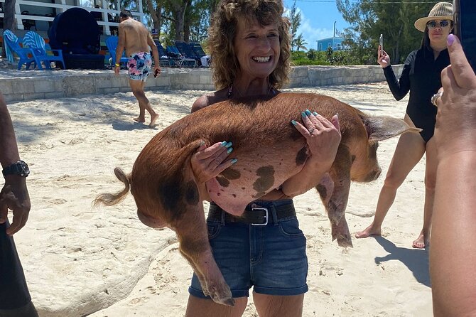 Rose Island 3 Island Luxury Private Tour(8hrs) - Green Turtle Cay adds a wildlife stop