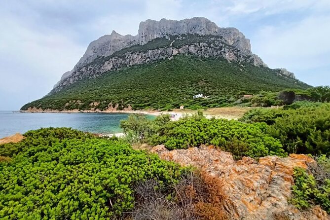San Teodoro: Mini Tour of the Tavolara Archipelago - Key points to know before booking