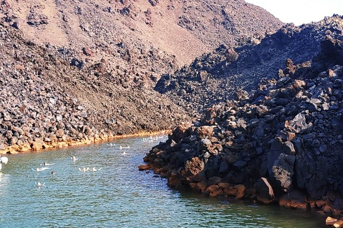 Santorini Volcanic Islands Cruise: Volcano, Hot Springs and Thirassia - What the $60.07 price includes and leaves out