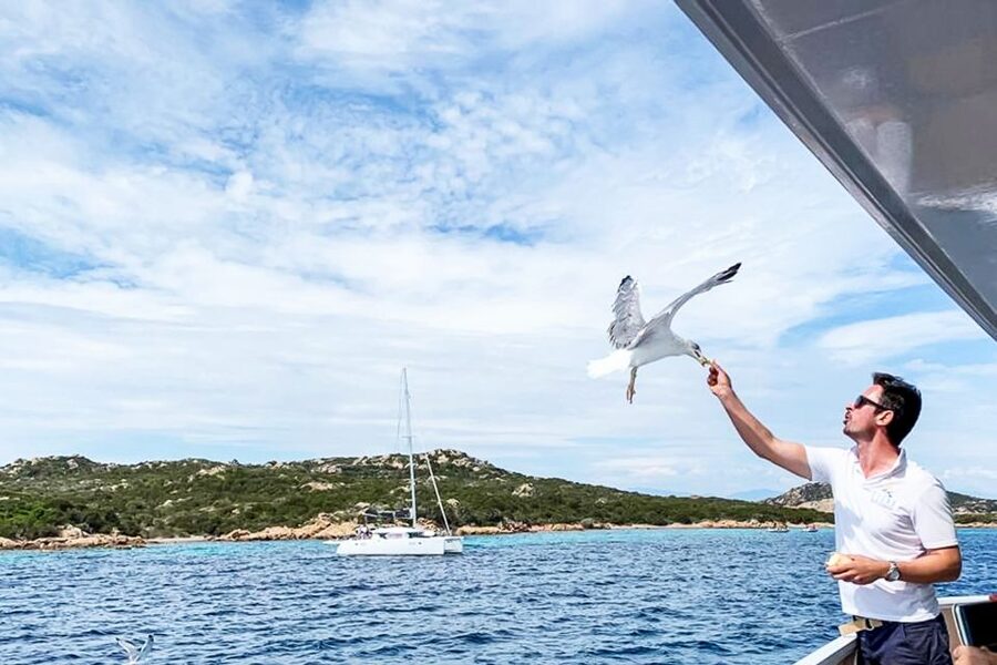 Sardinia: La Maddalena Archipelago Full-Day Trip by Boat - Weather, crowds, and physical demands