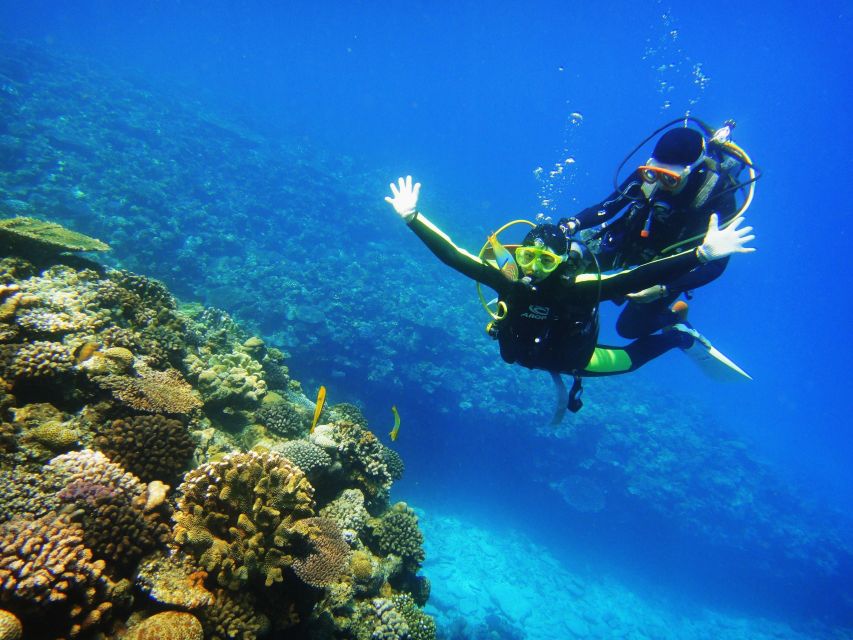 Scuba Diving 3 Islands Nha Trang Tour - Coral Bay 1: the main scuba session