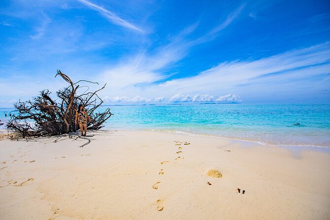 Sea Breeze Calm You On Phi Phi Islands Tour From Krabi - Loh Samah Bay is your main coral and fish stop