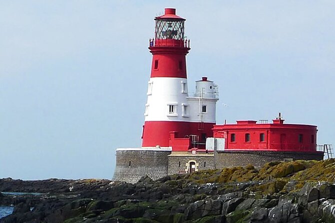 Seabird & Seal Farne Islands Cruise. 1.5 hours long. Departing from Seahouses. - May through July is the best bird season