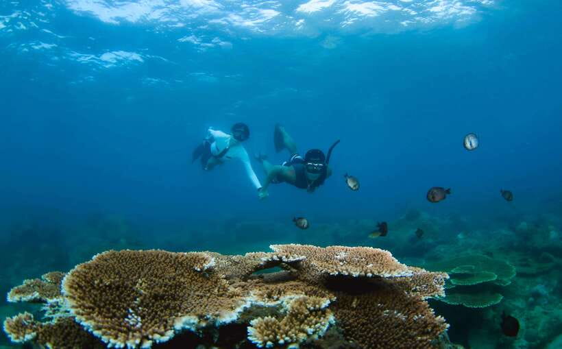 Semporna: Explore 3 Islands Tour Snorkel or Dive & Lunch - Five things to know before you book