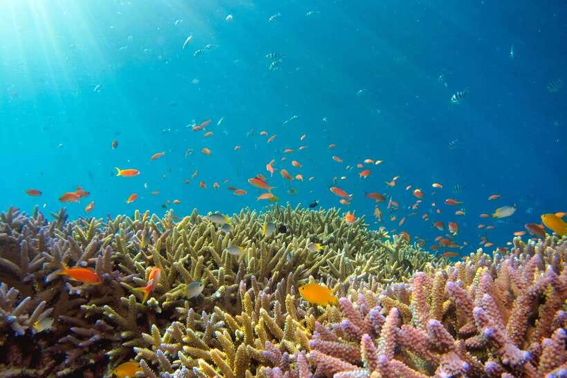 Semporna: Explore 3 Islands Tour Snorkel or Dive & Lunch - The long ride back to Semporna