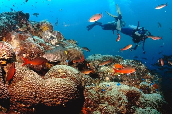 Semporna Hike Bohey 3 Island Snorkel Dive Tour and Lunch - Sibuan Island and the second reef stop