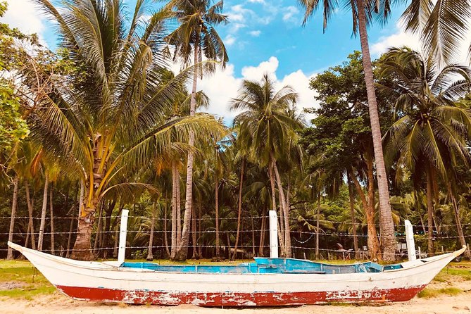 Shared Honda Bay Island Hopping Tour - Lu-Li Island: one hour for hammocks and water