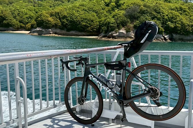 Shimanami Kaido, 1Day Relaxed Island Hopping Cycling Tour - Ikuchijima: lemons, art, and the northern coast