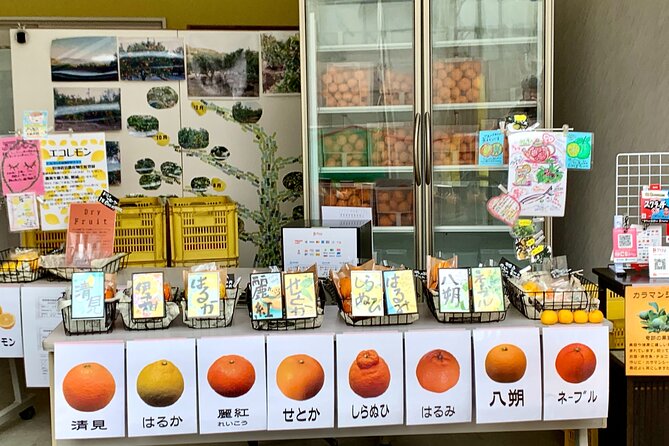 Shimanami Kaido, 1Day Relaxed Island Hopping Cycling Tour - Tatara Bridge and Sunset Beach