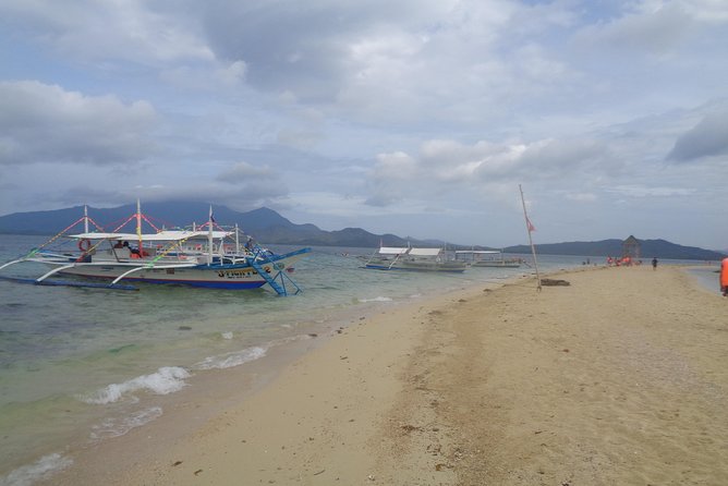 Shore excursion: Puerto Princesa Island Hopping Tour - Guides, transport, and cruise-port details