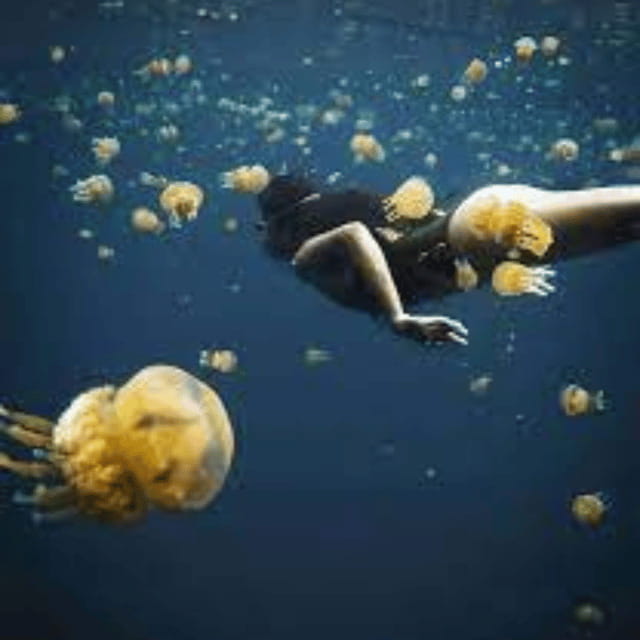 Siargao:Sohoton Island Hopping Tour with Jellyfish Sanctuary - Hagukan Cave, where the rock shapes the visit